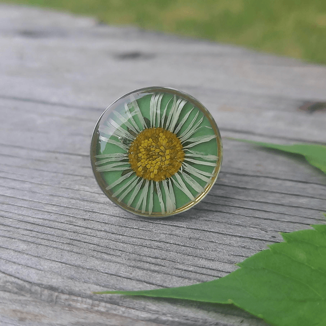 Bague argentée ◦ Paquêrette 