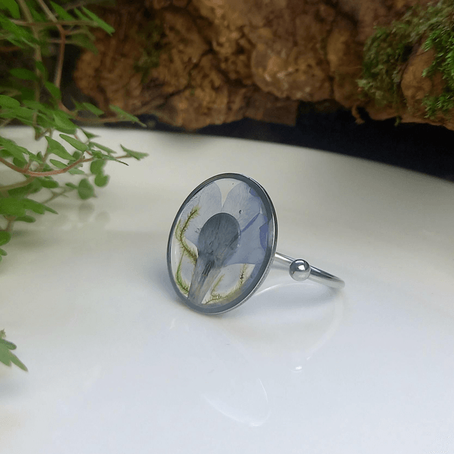Bague argentée ◦ Lobelia