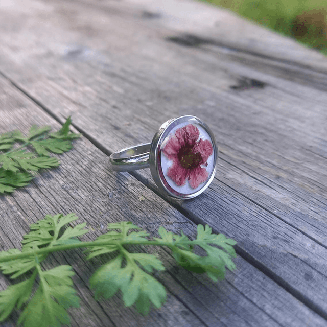 Bague argentée ◦ Leptospermum