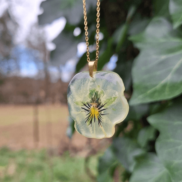 Collier petite Pensée • Viola cornuta • doré