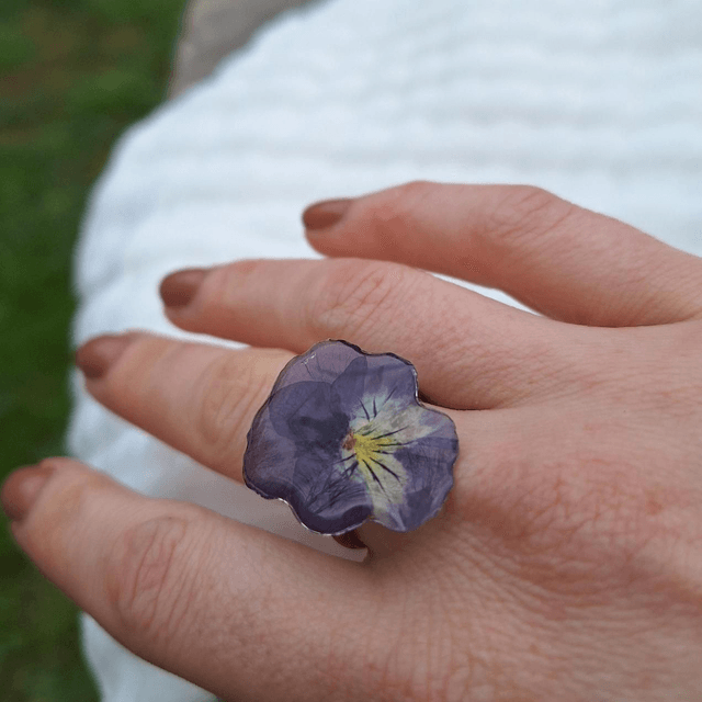 Bague petite Pensée • Viola cornuta • argenté
