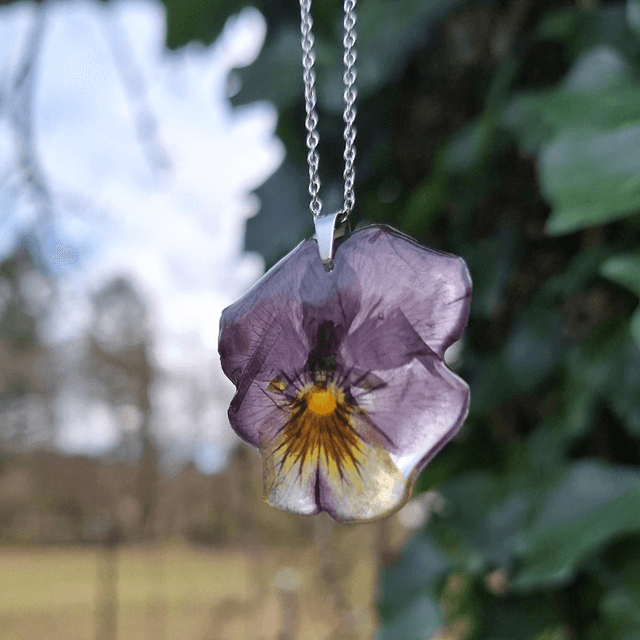 Collier petite Pensée • Viola cornuta • argenté 