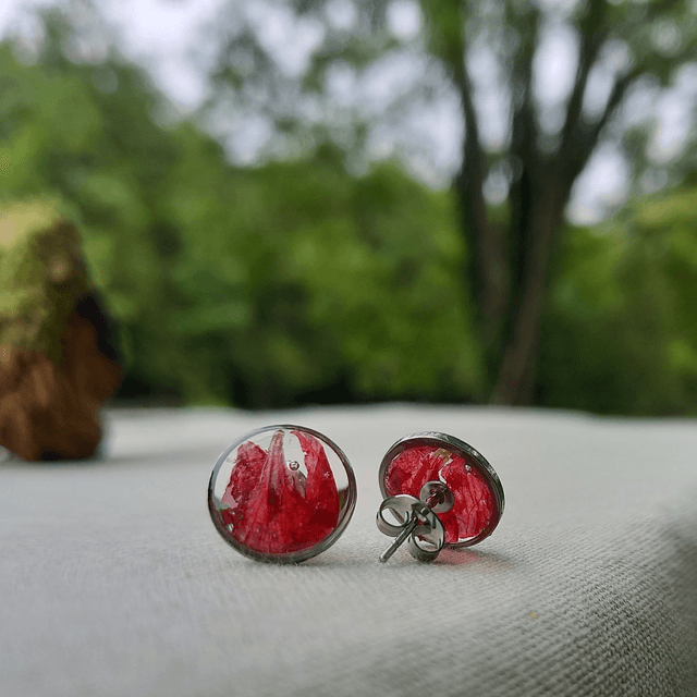 Puces d'oreilles ∙ argenté ∙ Géranium