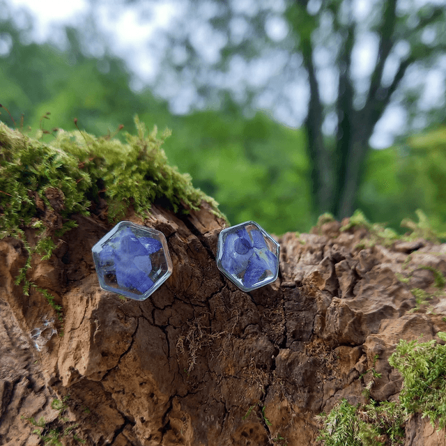 Puces d'oreilles ∙ argenté ∙ hexagonales ⬡ Lobelia