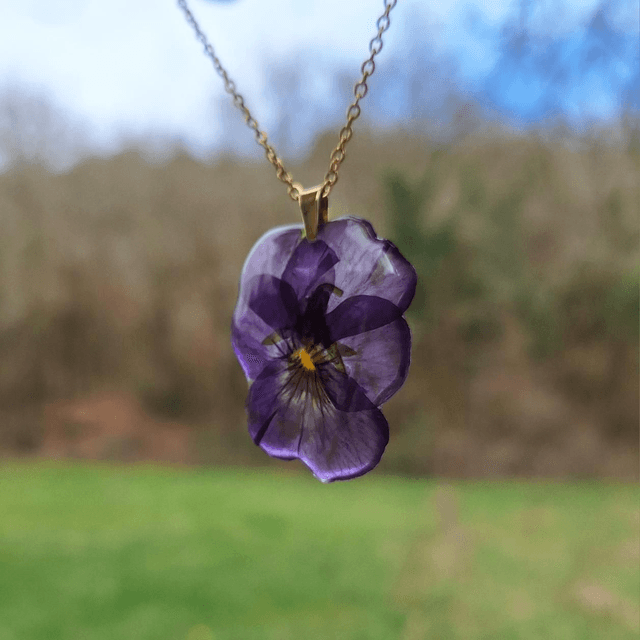 Collier petite Pensée • Viola cornuta • doré