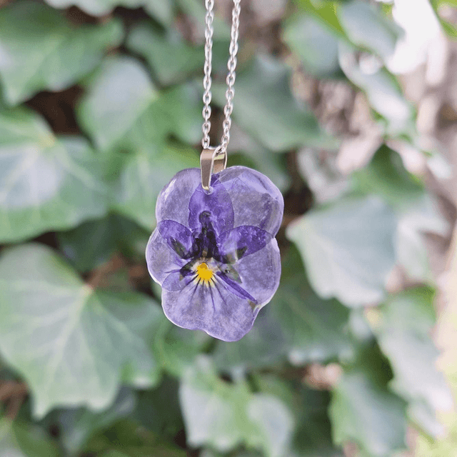 Collier petite Pensée • Viola cornuta • argenté 