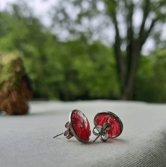 Puces d'oreilles ∙ argenté ∙ Géranium