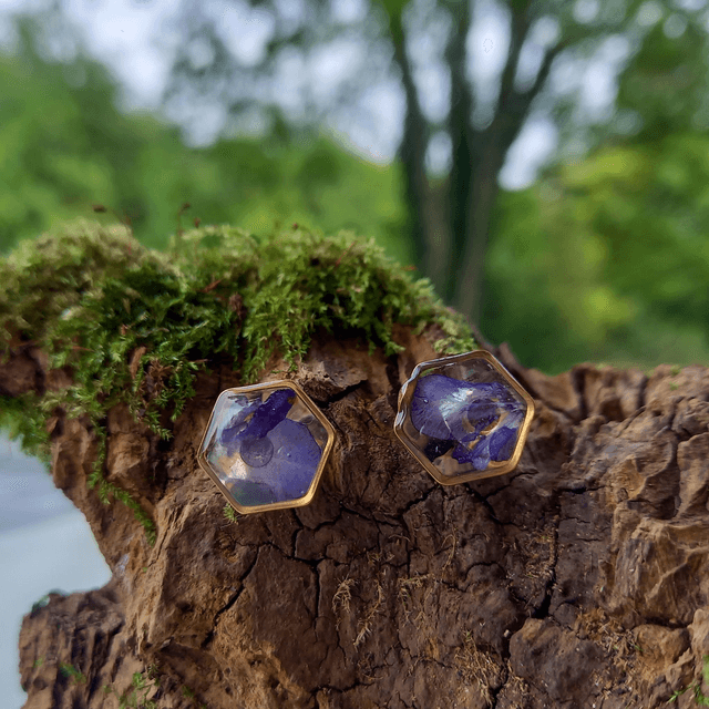 Puces d'oreilles ∙ doré ⬡ hexagonales Lobelia 
