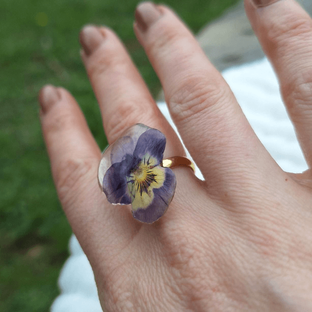 Bague petite Pensée • Viola cornuta • doré 