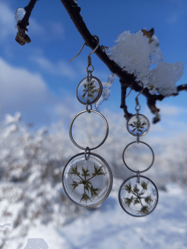 Boucles d'oreilles ∙ argenté ∙ Daucus