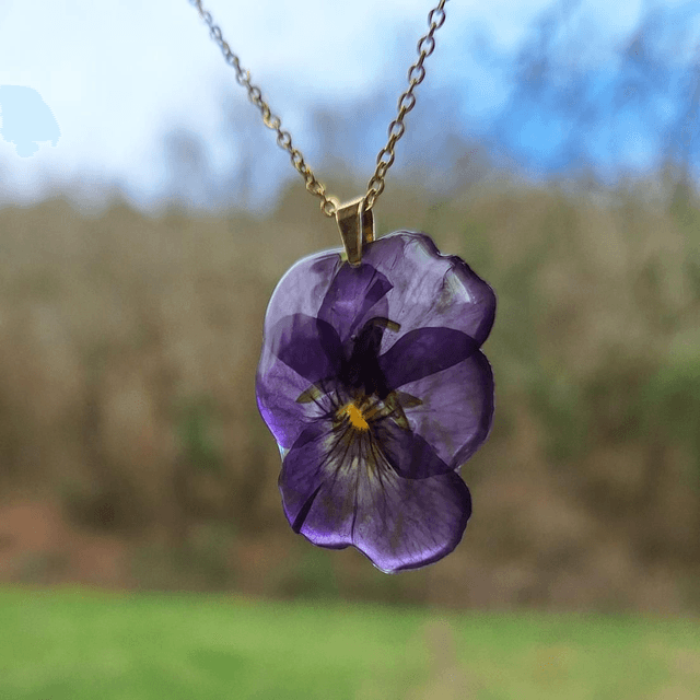 Collier petite Pensée • Viola cornuta • doré