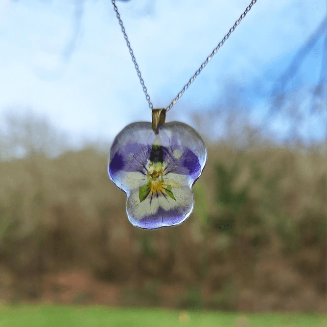 Collier petite Pensée • Viola cornuta • doré