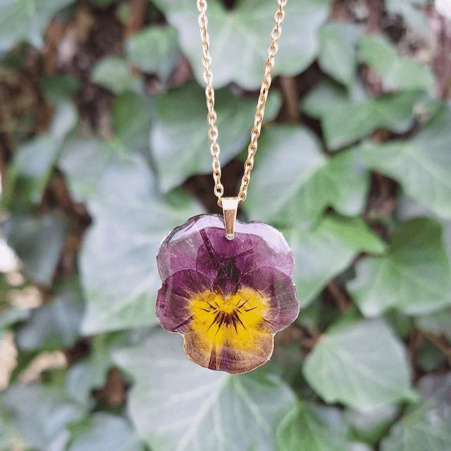 Collier petite Pensée • Viola cornuta • doré