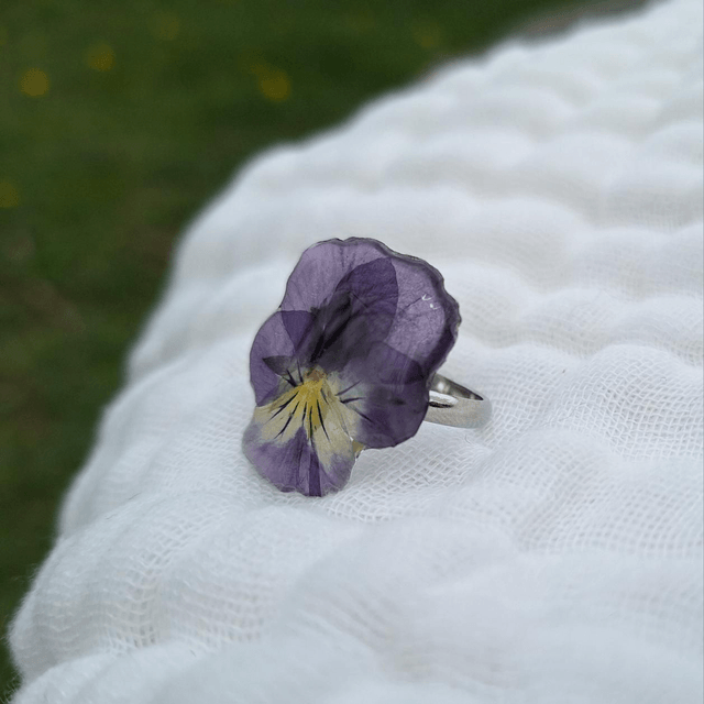 Bague petite Pensée • Viola cornuta • argenté
