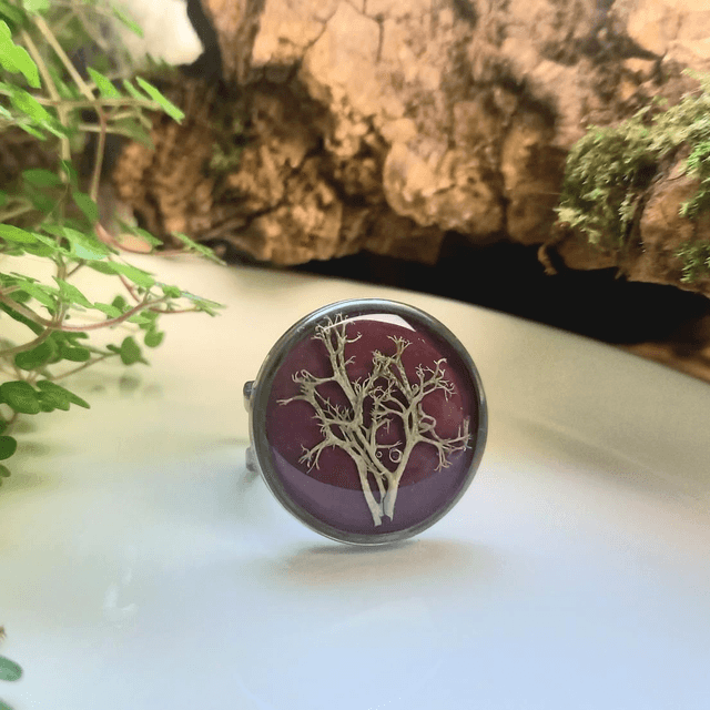 Bague argentée ◦ Lichen 