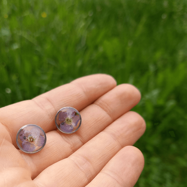 Puces d'oreilles ∙ argenté ∙ Veronica