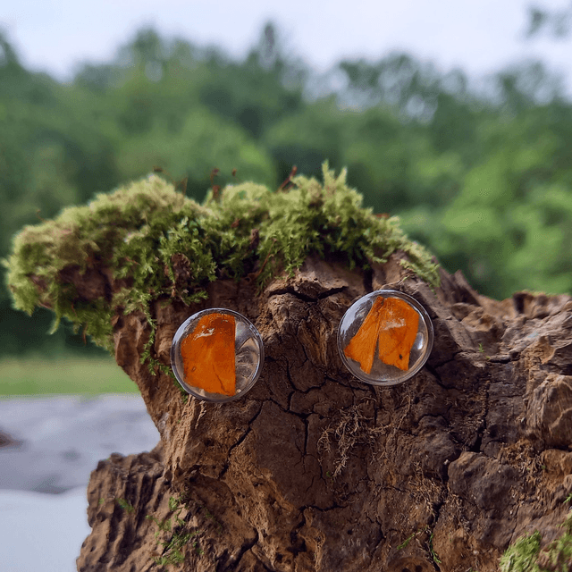Puces d'oreilles ∙ argenté ∙ Tagetes