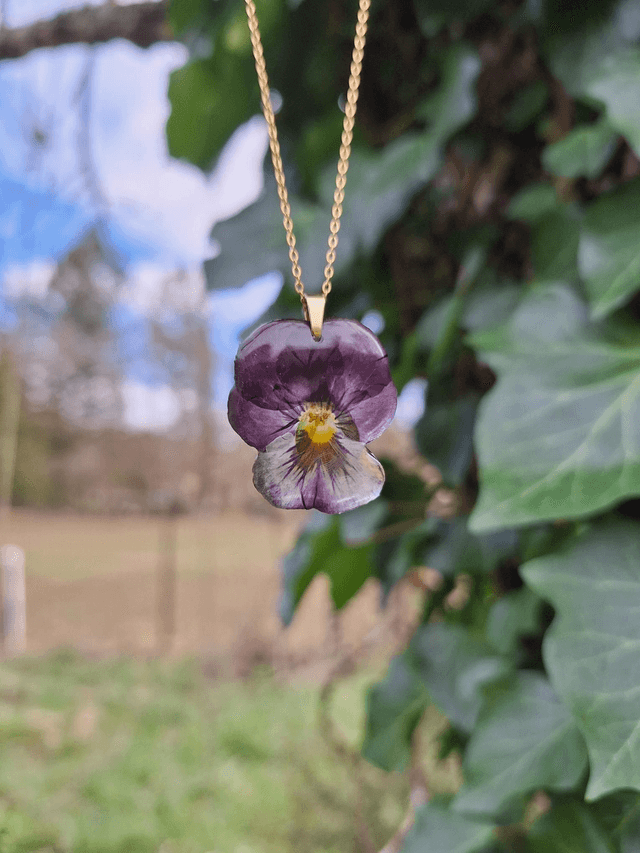 Collier petite Pensée • Viola cornuta • doré 