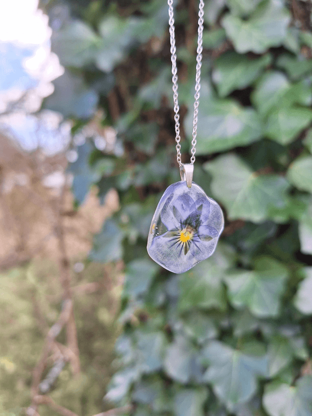Collier petite Pensée • Viola cornuta • argenté 
