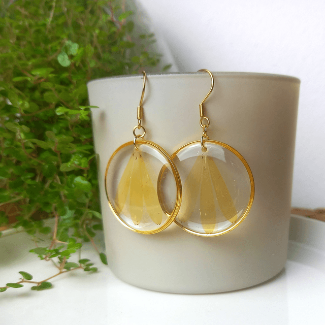 Boucles d'oreilles ∙ doré Fleurs séchées Calendula