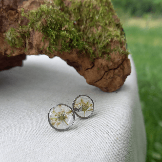 Puces d'oreilles ∙ argenté ∙ Daucus