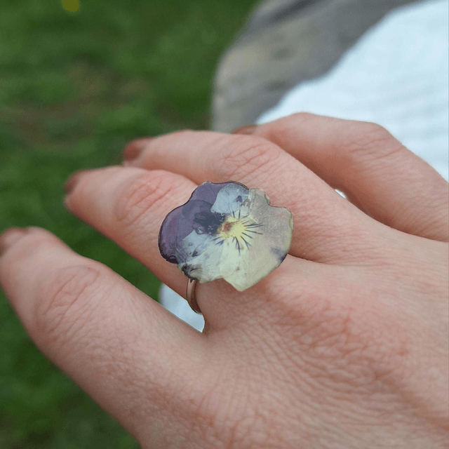 Bague petite Pensée • Viola cornuta • argenté 