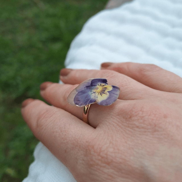 Bague petite Pensée • Viola cornuta • doré 