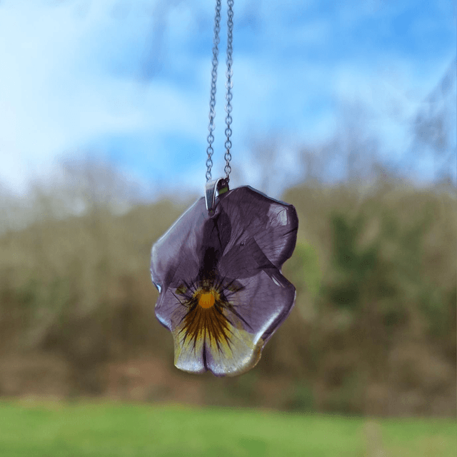 Collier petite Pensée • Viola cornuta • argenté 