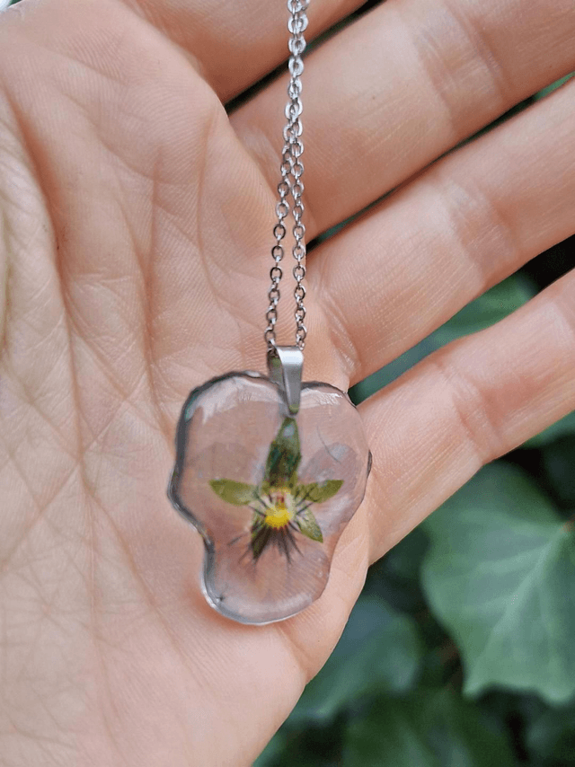 Collier petite Pensée • Viola cornuta • 
