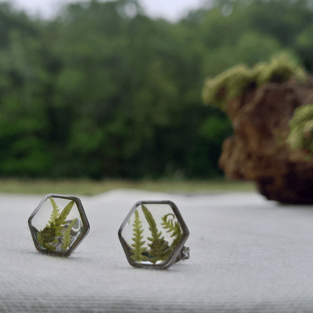 Puces d'oreilles ∙ argenté ∙ hexagonales ⬡ Fougère