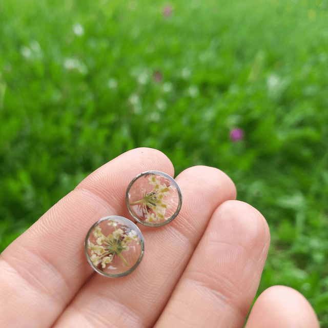 Puces d'oreilles ∙ argenté ∙ Daucus
