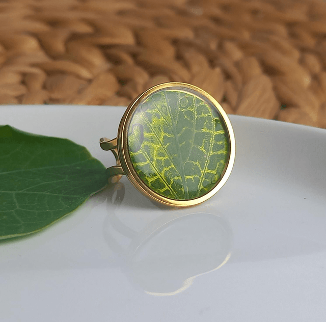 Bague dorée ◦ Fittonia