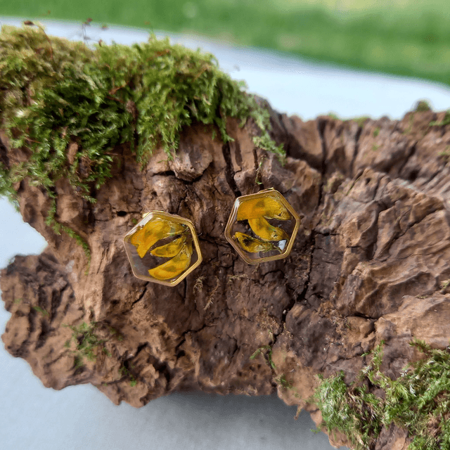 Puces d'oreilles ∙ doré ⬡ hexagonales Coronilla