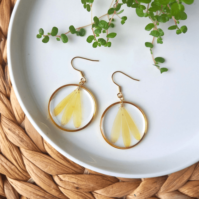 Boucles d'oreilles ∙ doré Fleurs séchées Calendula