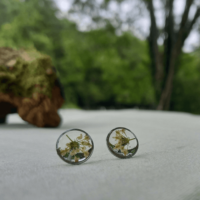 Puces d&#039;oreilles ∙ argenté ∙ Daucus