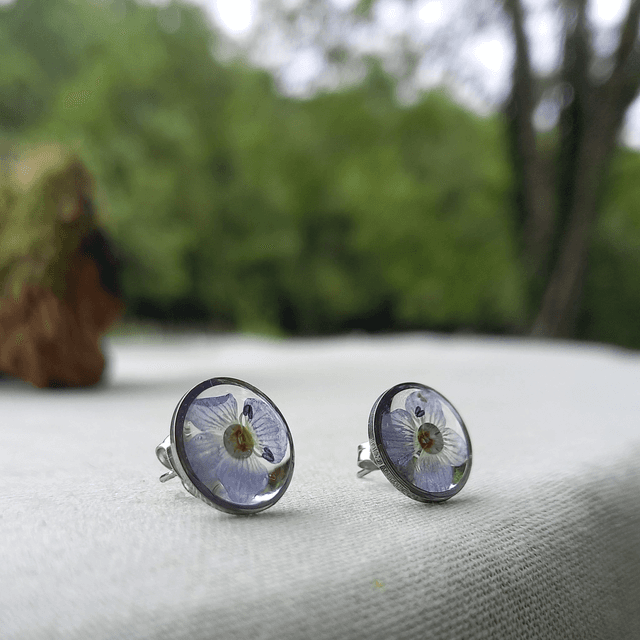 Puces d&#039;oreilles ∙ argenté ∙ Veronica