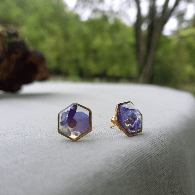 Puces d&#039;oreilles ∙ doré ⬡ hexagonales Lobelia 