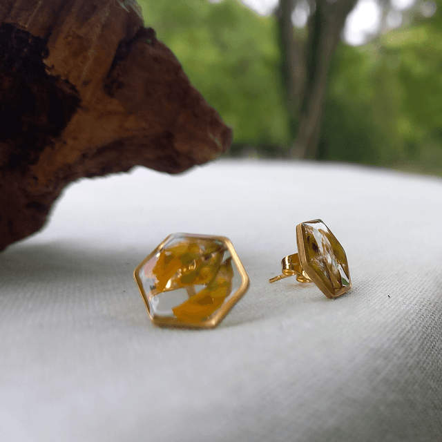 Puces d&#039;oreilles ∙ doré ⬡ hexagonales Coronilla