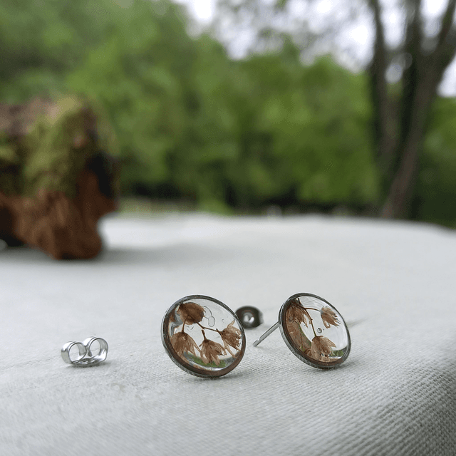 Puces d&#039;oreilles ∙ argenté ∙ Sedum